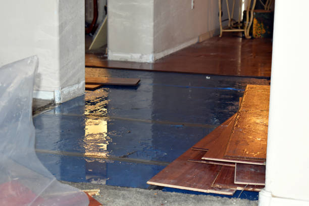 Professional Sewage Cleanup technician working in Silverwood, MI